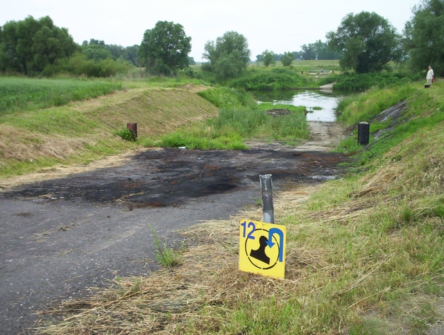 Nawrotka na brzegu rzeki