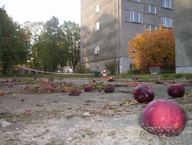 Elementy po�lizgowe precyzyjnie ustawione na nawrocie SZ