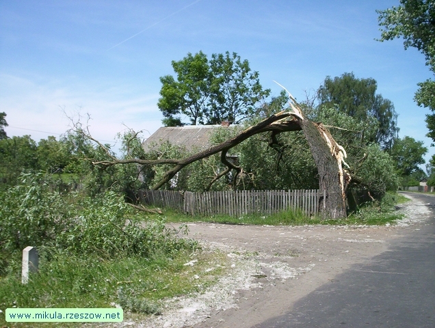Niespodzianki na trasie